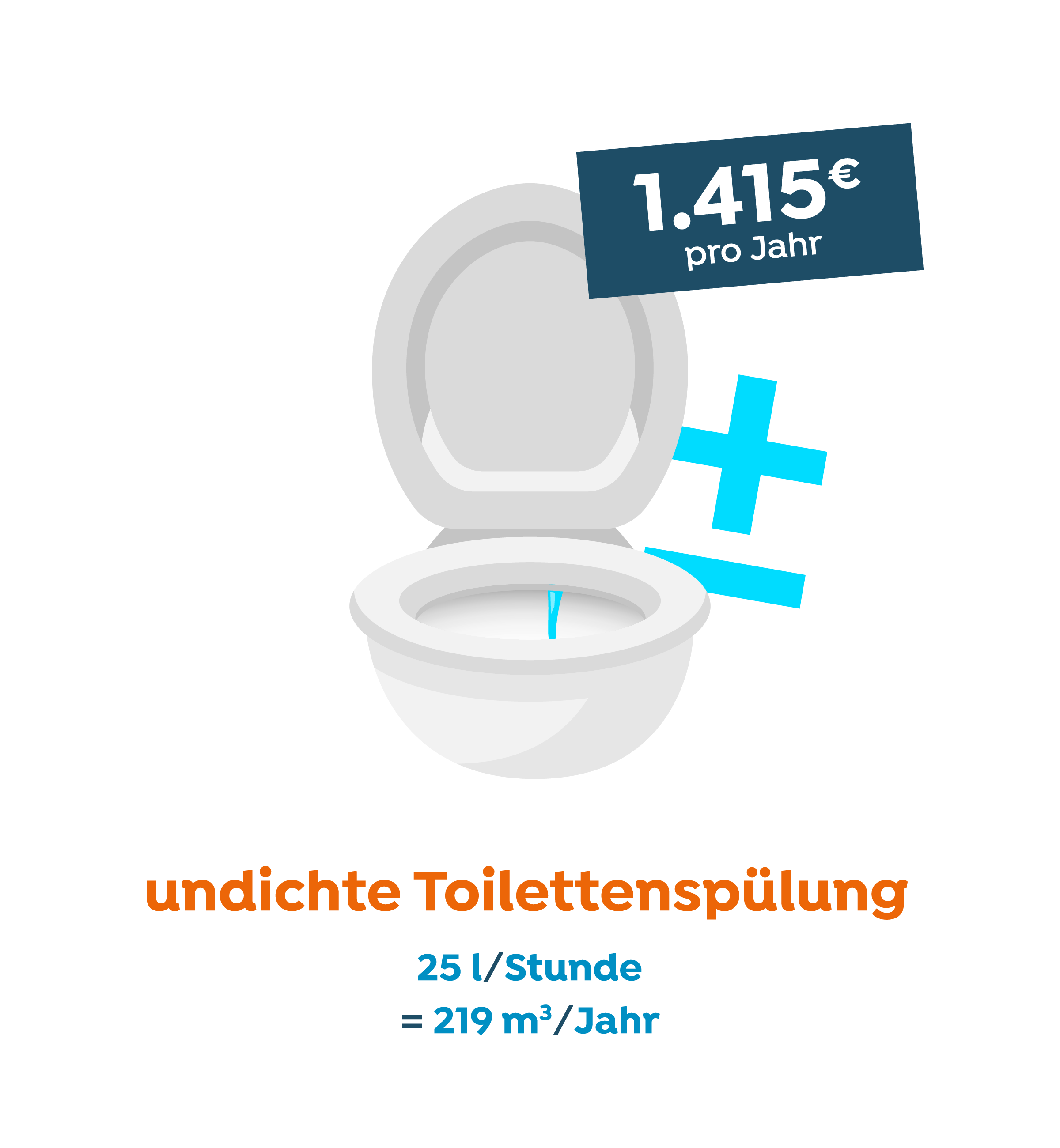 toilettensoulung