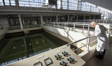 La station de la Transhennuyère à Gaurain-Ramecroix