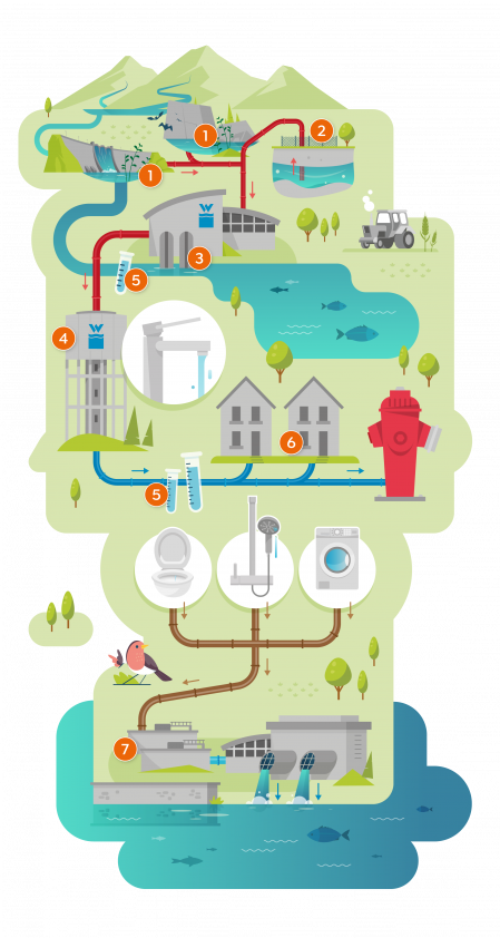 Cycle de l'eau anthropique