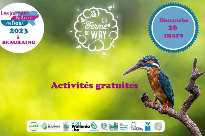 Fête de l'eau Beauraing